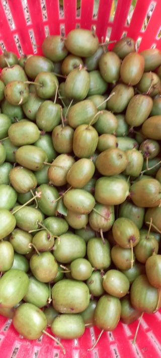 장만월님의 자유주제 · 자유게시판 작성글 사진