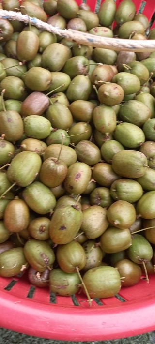 장만월님의 자유주제 · 자유게시판 작성글 사진