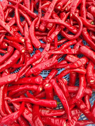 김경순님의 자유주제 · 자유게시판 작성글 사진