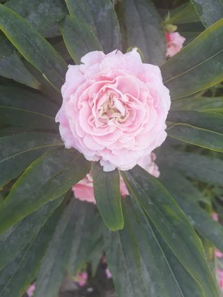 인생은 소풍처럼님의 자유주제 · 사진전 작성글 사진