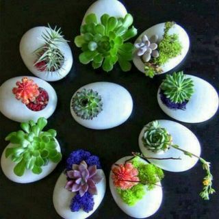 인생은 소풍처럼님의 자유주제 · 사진전 작성글 사진