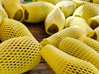 포포나무학교한치원님의 작성글 사진