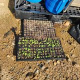 팜모닝 나의 농사 애장품을 자랑해요·참여글 게시글 이미지