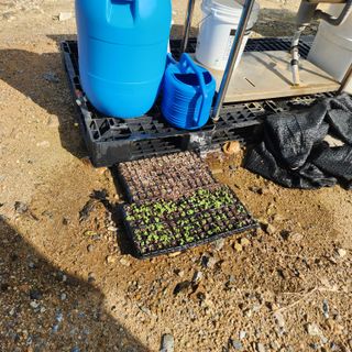 손오공처럼재능만땅님의 나의 농사 애장품을 자랑해요 · 참여글 작성글 사진