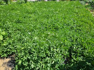 j.y.park님의 자유주제 · 자유게시판 작성글 사진