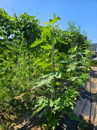 j.y.park님의 자유주제 · 자유게시판 작성글 사진