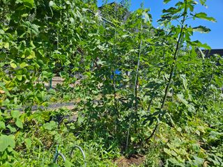 j.y.park님의 자유주제 · 자유게시판 작성글 사진