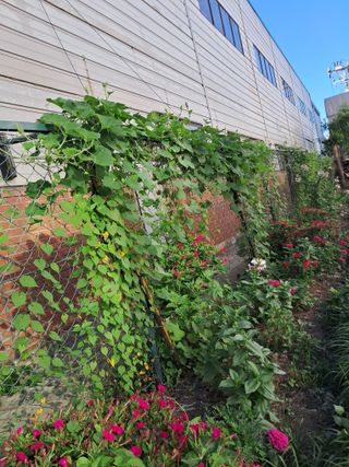 사구실첫집님의 자유주제 · 자유게시판 작성글 사진