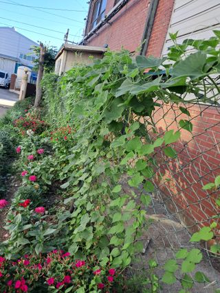 사구실첫집님의 자유주제 · 자유게시판 작성글 사진