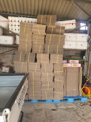 반시님의 자유주제 · 자유게시판 작성글 사진