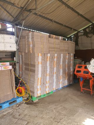 반시님의 자유주제 · 자유게시판 작성글 사진