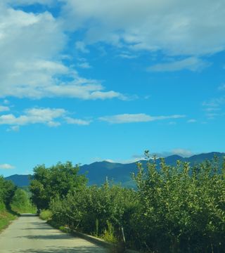 사과짱님의 자유주제 · 자유게시판 작성글 사진