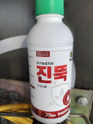 박용남님의 블루베리 · 병해충상담 작성글 사진