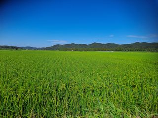 독골농원님의 자유주제 · 자유게시판 작성글 사진