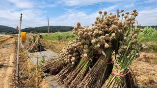 조새힘님의 작성글 사진