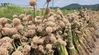 조새힘님의 작성글 사진