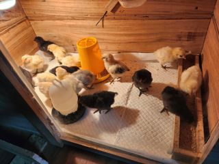 김희영님의 자유주제 · 자유게시판 작성글 사진