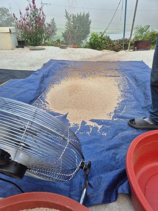 김연숙님의 자유주제 · 자유게시판 작성글 사진