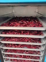 팜모닝 고추·영농일지 게시글 이미지