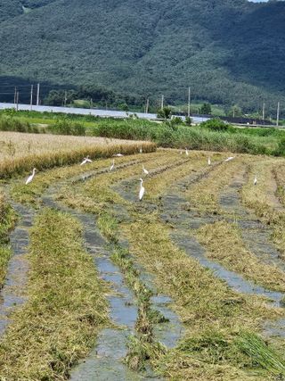 신신기루님의 자유주제 · 사진전 작성글 사진