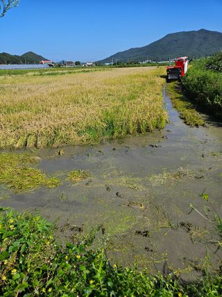 신신기루님의 자유주제 · 사진전 작성글 사진