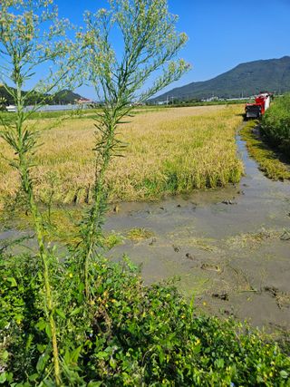 신신기루님의 자유주제 · 사진전 작성글 사진