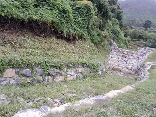 힐링촌가님의 복숭아 · 영농일지 작성글 사진