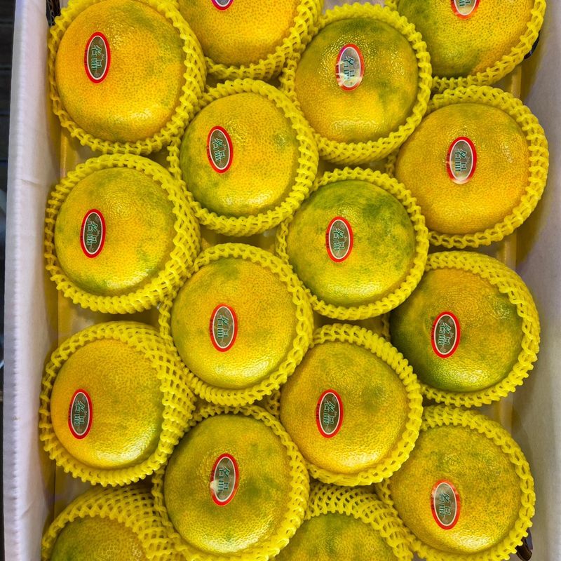 장터 상품 [황금향선물세트3kg] 썸네일