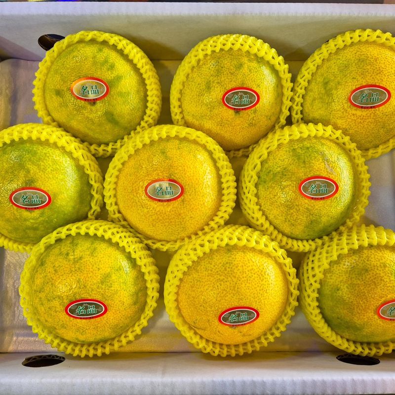 이승철님의 장터 판매 상품 [황금향선물세트3kg] 첨부 사진