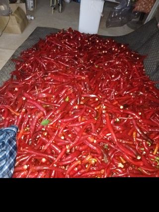 대파6310님의 자유주제 · 자유게시판 작성글 사진