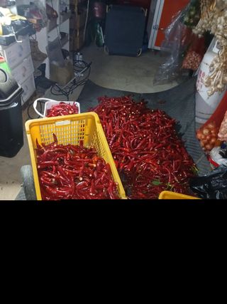 대파6310님의 자유주제 · 자유게시판 작성글 사진