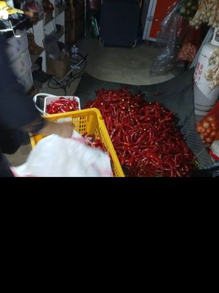 대파6310님의 자유주제 · 자유게시판 작성글 사진