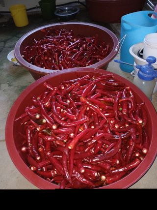 대파6310님의 자유주제 · 자유게시판 작성글 사진