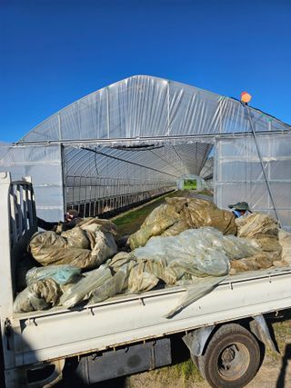 권정식님의 양파 · 영농일지 작성글 사진