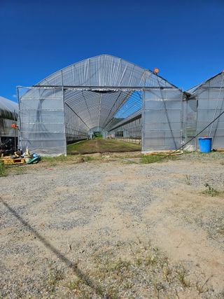 권정식님의 양파 · 영농일지 작성글 사진