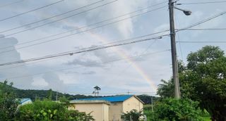 영애님의 자유주제 · 자유게시판 작성글 사진