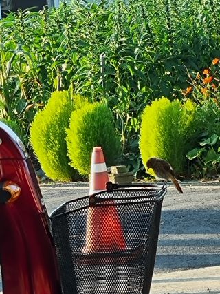 영애님의 자유주제 · 자유게시판 작성글 사진