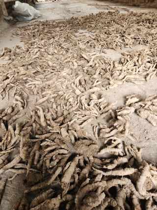 윤미선(농경채인증님의 작성글 사진