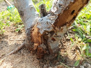 해파랑농원님의 농사, 무엇이든 물어보세요! · 참여글 작성글 사진