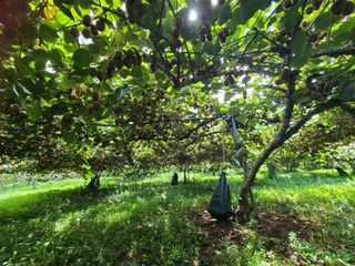 노고단님의 자유주제 · 자유게시판 작성글 사진