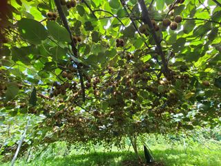 노고단님의 자유주제 · 자유게시판 작성글 사진