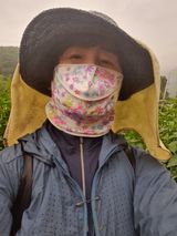 팜모닝 고추·영농일지 게시글 이미지