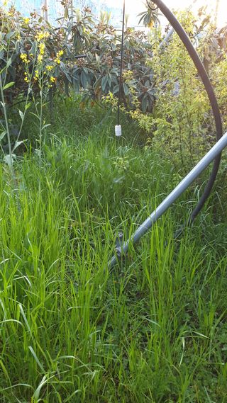 김상철님의 기타작물 · 영농일지 작성글 사진