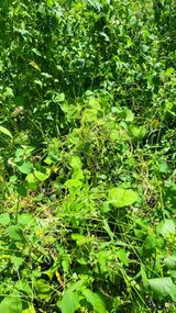 팜모닝 자유주제·자유게시판 게시글 이미지