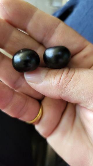 방촌대장님의 자유주제 · 자유게시판 작성글 사진