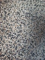 팜모닝 자유주제·자유게시판 게시글 이미지