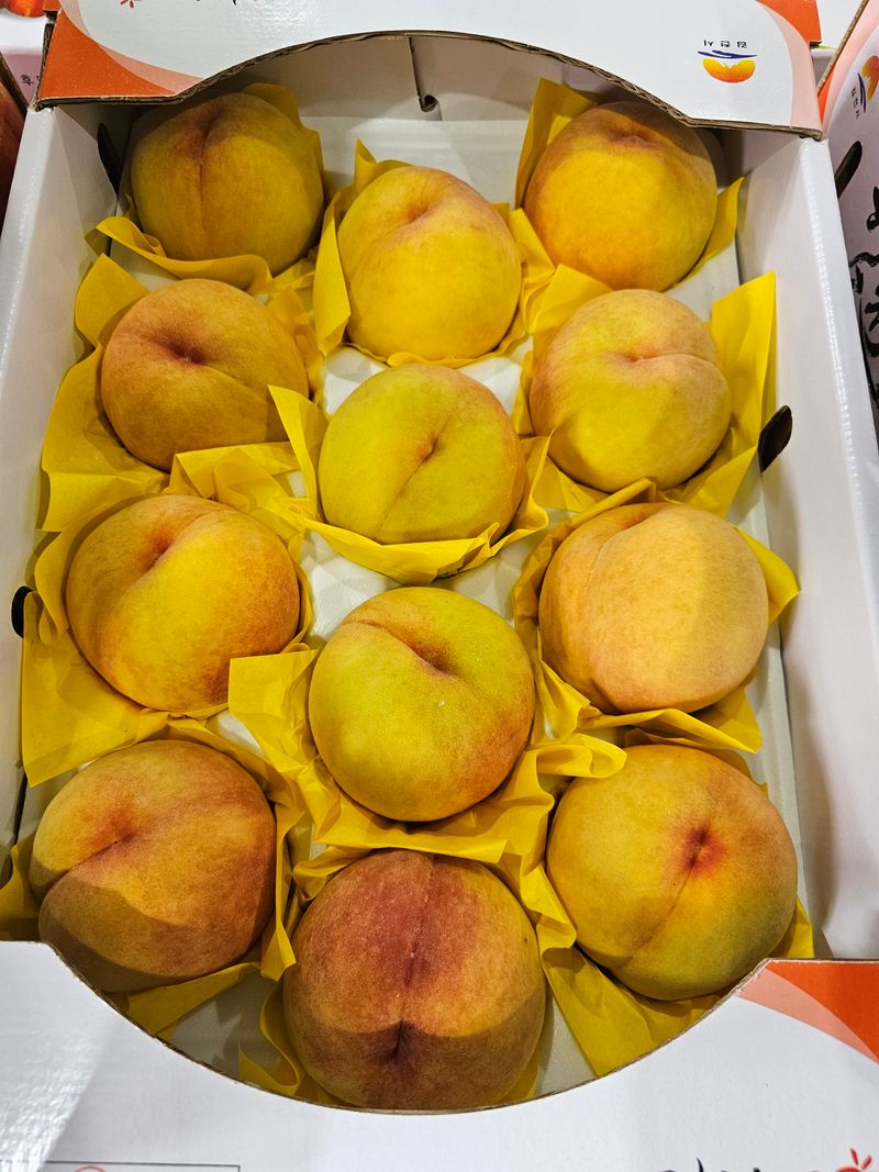 장터 상품 [달콤쫀득이  대향금 황도복숭아 ] 썸네일