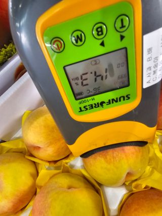 써니네님의 작성글 사진