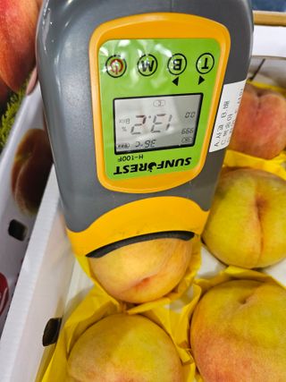 써니네님의 작성글 사진