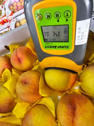 써니네님의 작성글 사진